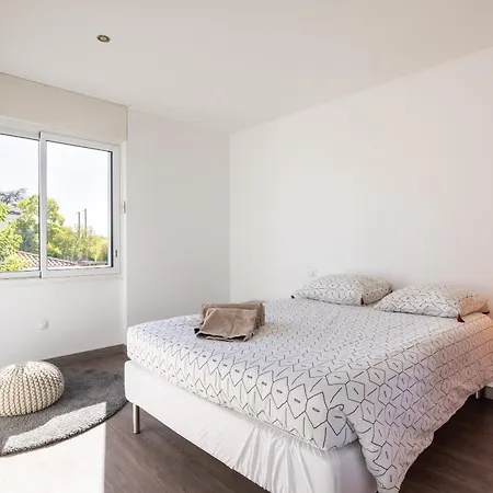 Spacieuse Avec Piscine Privée à Toulouse