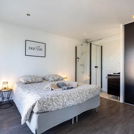 Spacieuse Avec Piscine Privee A Toulouse